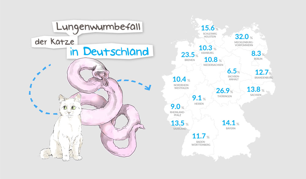 Deutschlandkarte: Lungenwurmbefall bei Katzen in Deutschland
