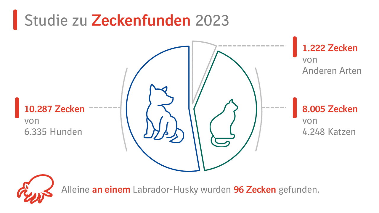 Grafik zu Zeckenfunden bei Hunden und Katzen in Deutschland und Österreich 2023.